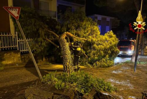 Maltempo nelle Marche, oltre 350 gli interventi dei vigili del fuoco