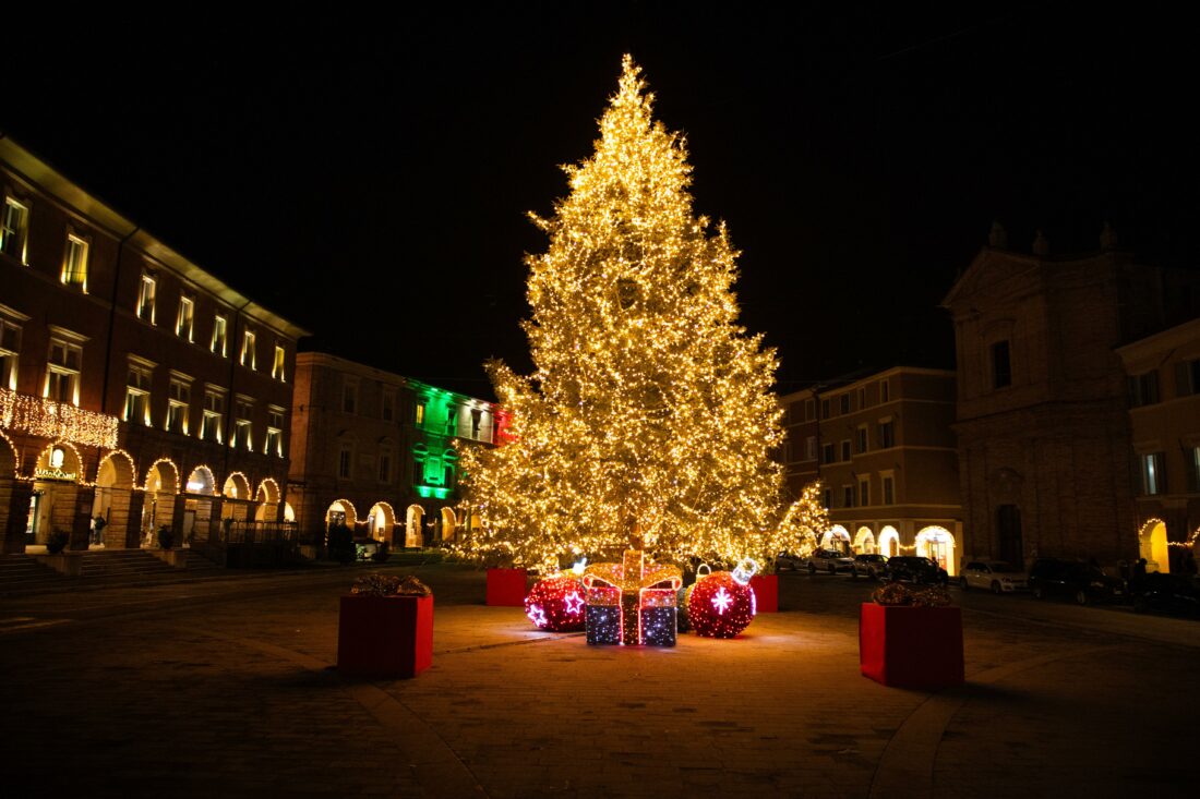 San Severino, l'albero di Natale di piazza del Popolo tra i più belli delle Marche