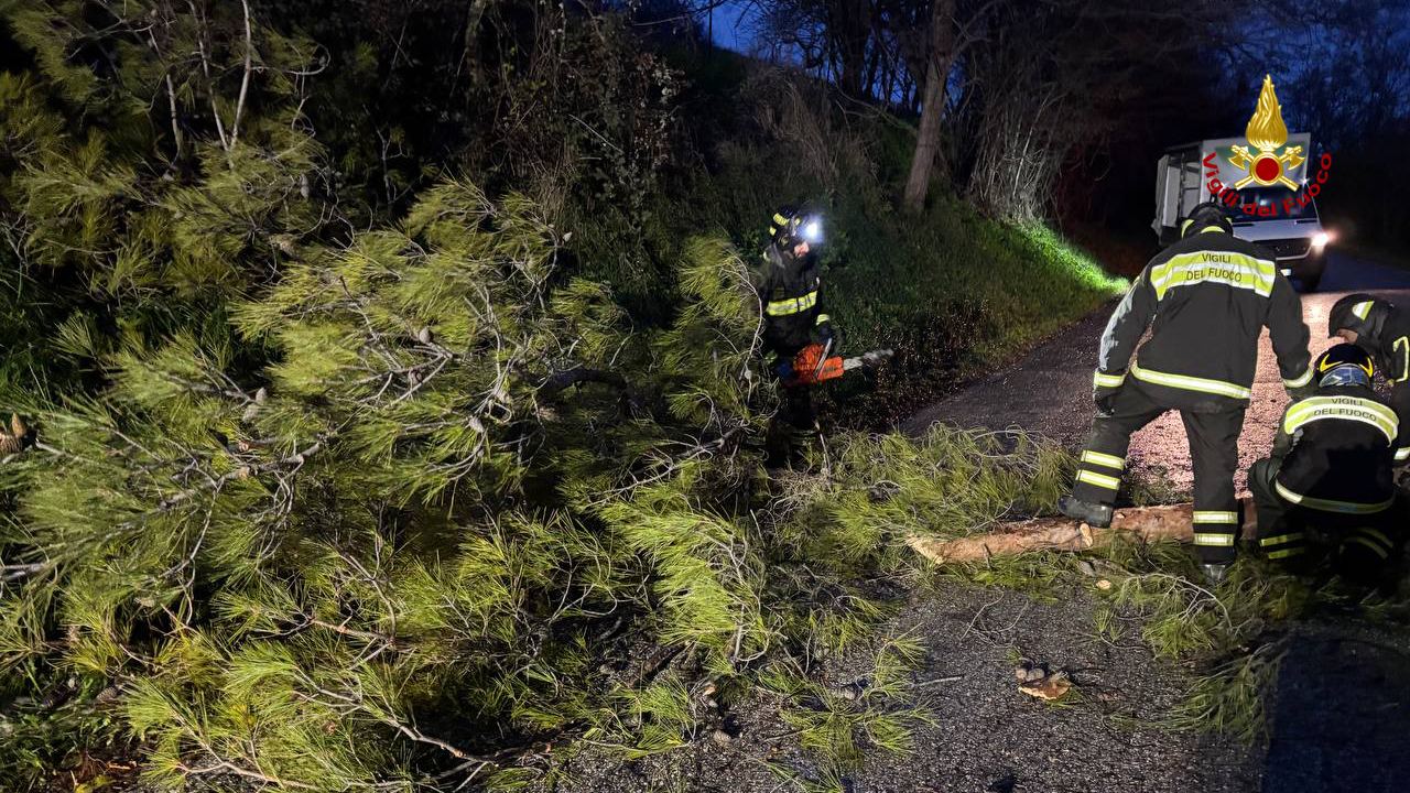 Maltempo nelle Marche, oltre 350 gli interventi dei vigili del fuoco