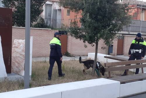 Falconara, a 18 anni spacciava eroina in monopattino: arrestato grazie al fiuto del cane Billy