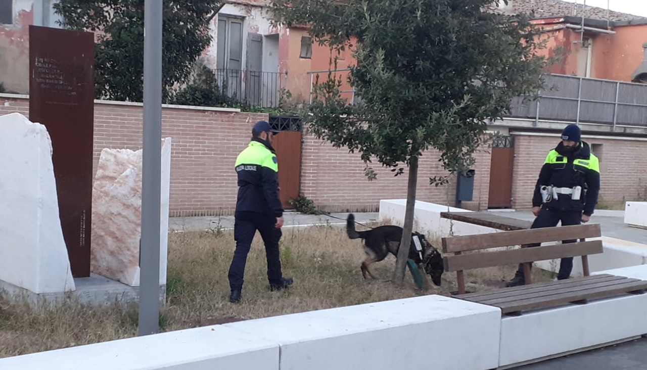 Falconara, a 18 anni spacciava eroina in monopattino: arrestato grazie al fiuto del cane Billy